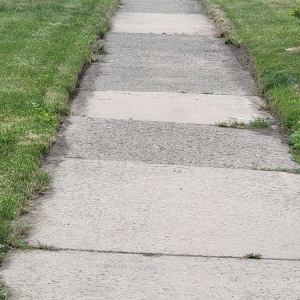 Photo of Cut King Lawn Care