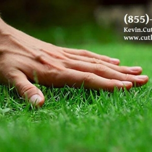 Photo of Cut King Lawn Care