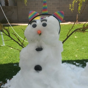 Photo of The Vegas Iceman