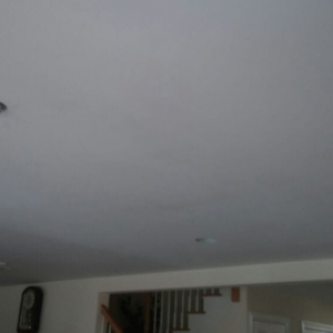 Photo of TLC Home Services