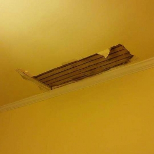 Photo of TLC Home Services