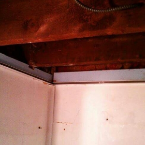 Photo of TLC Home Services