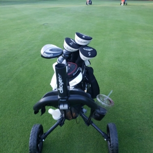 Photo of Royal Oaks Country Club