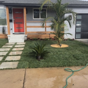 San Diego Maldonado Landscaping