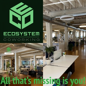 Photo of EcoSystem Coworking
