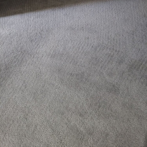 Photo of Dupage Carpet Cleaning