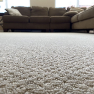 Photo of Dupage Carpet Cleaning
