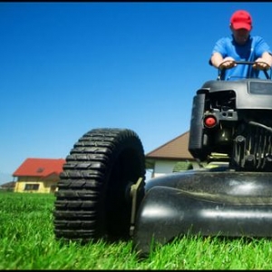 Photo of Young's Lawn Care