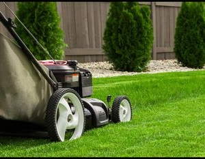 Photo of Young's Lawn Care