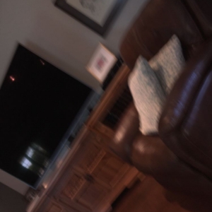 Photo of Fireplace Door Guy