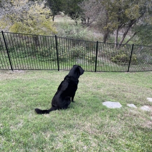 Photo of Anchor Fence