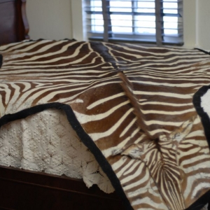 Photo of Shannon Design Enterprises