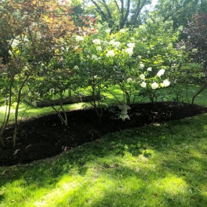 Photo of Wisconsin Wonder Garden
