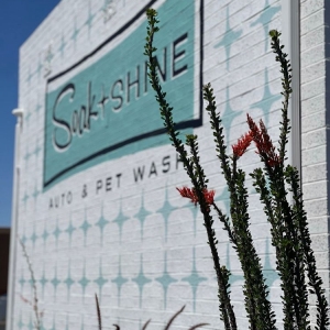 Phoenix Soak + Shine Auto And Pet Wash