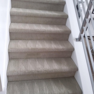Photo of SOS 5 Star Cleaning Services
