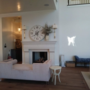 Photo of SOS 5 Star Cleaning Services