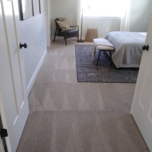 Photo of SOS 5 Star Cleaning Services