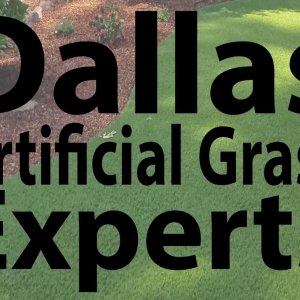 Photo of Dallas Artificial Grass Experts