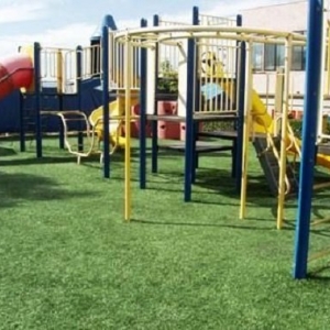 Photo of Dallas Artificial Grass Experts