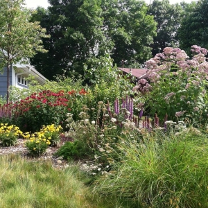 Photo of Stonecrop Design