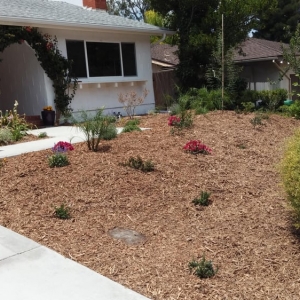 Photo of Naturescape Services