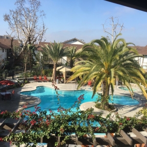 Photo of JP Pool Service