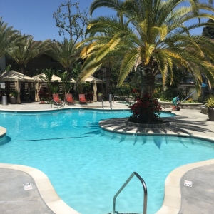 Photo of JP Pool Service