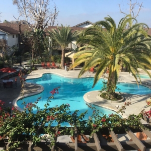 Photo of JP Pool Service
