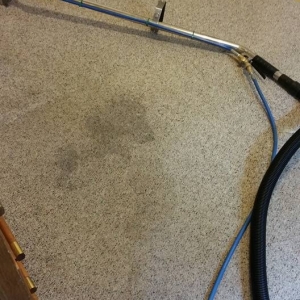 Philadelphia Four Seasons Carpet Cleaners