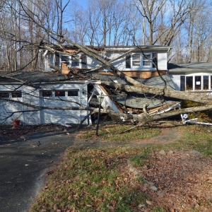 Photo of Disaster Recovery Adjusters