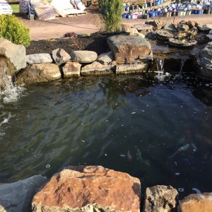 Photo of Chesco Landscaping