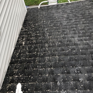 Photo of RJ's Gutter Cleaning
