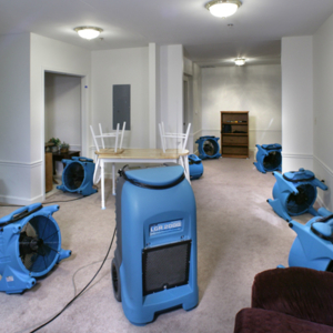 Photo of KASA Restoration & Remodeling
