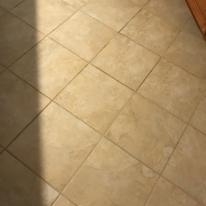 Photo of Scentex Professional Carpet Cleaning