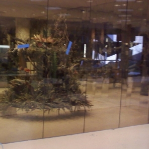 Photo of Gabo Glass