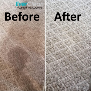 Photo of EverClean Nashville