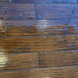 Photo of EverClean Nashville