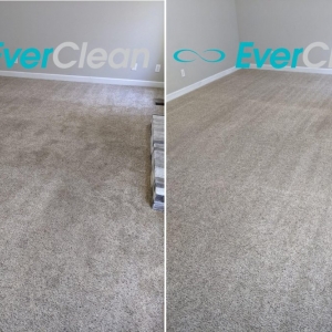 Photo of EverClean Nashville