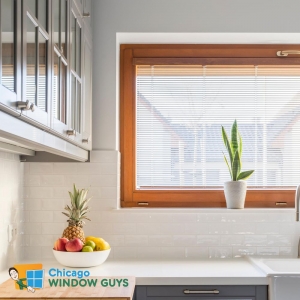 Photo of Chicago Window Guys