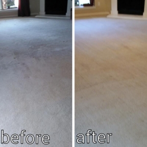 Photo of ALWAYS PROFESSIONAL CARPET