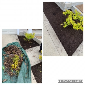 Photo of WL Landscaping & Cleaning