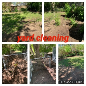Photo of WL Landscaping & Cleaning