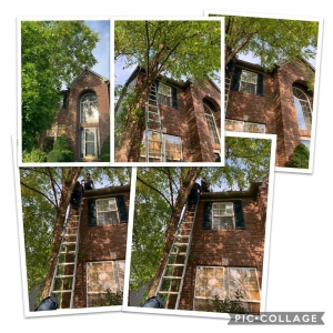 Photo of WL Landscaping & Cleaning