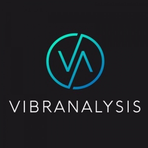 Bronx Vibranalysis