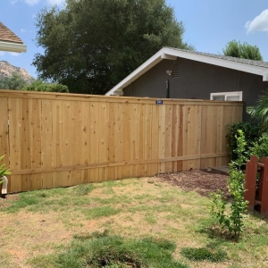 Photo of Native Fence