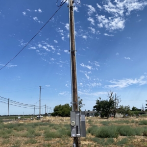 Photo of Delta Dawn Electric