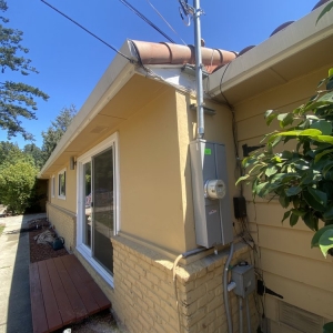 Photo of Delta Dawn Electric