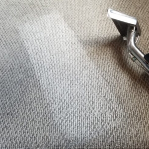 Photo of Kings Carpet and Upholstery Steam Cleaning Service