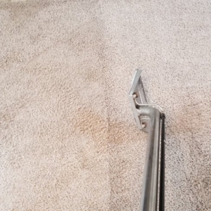 Photo of Kings Carpet and Upholstery Steam Cleaning Service
