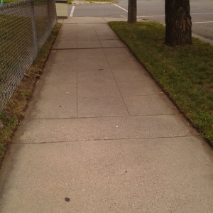 Photo of Fj Lawn Care